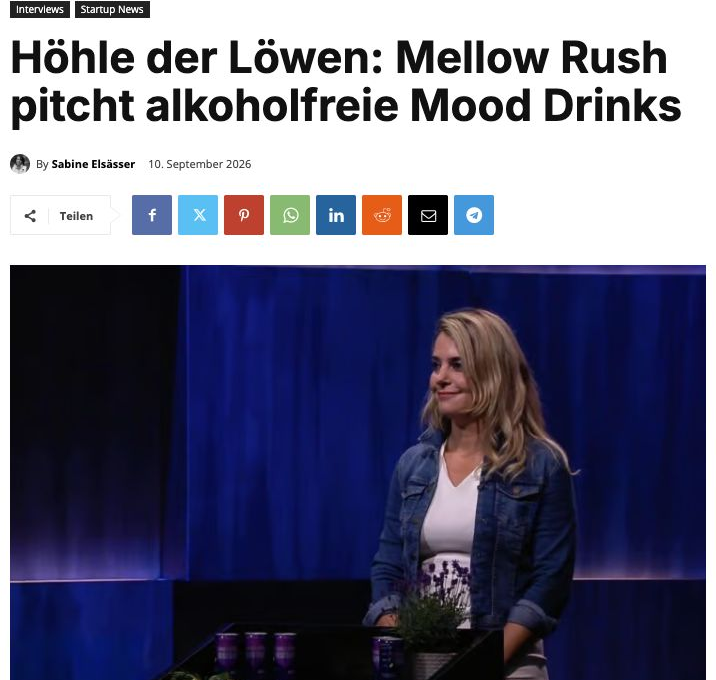 Artikelausschnitt über Mellow Rush – StartupValley
